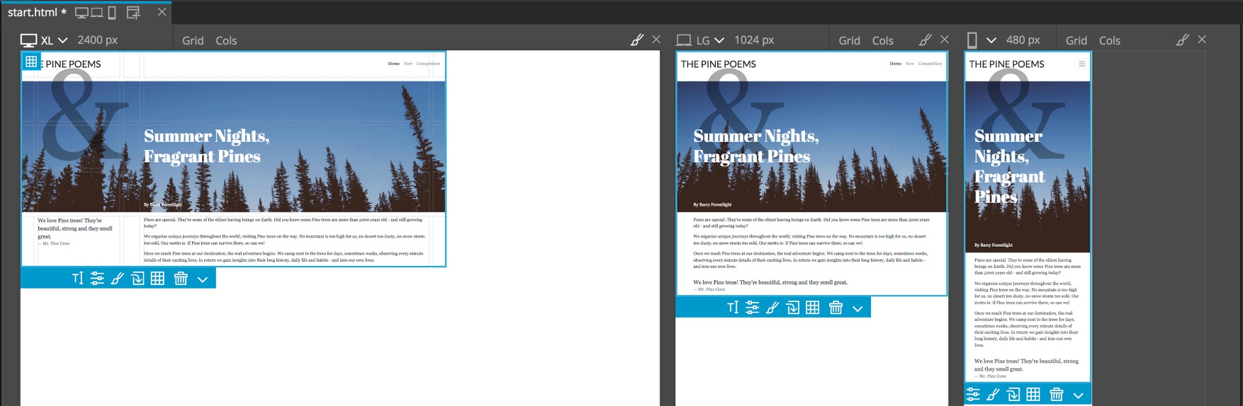 The finished page on multiple screen sizes in the Pinegrow Page View